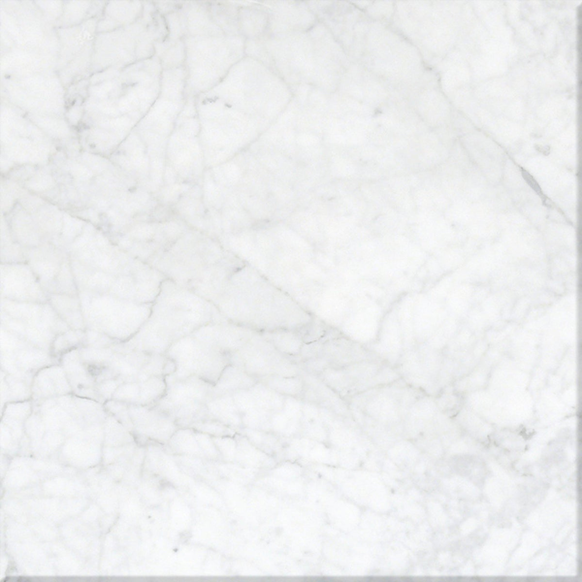 CARRARA - Natural Stone & Marble Stone Tiles